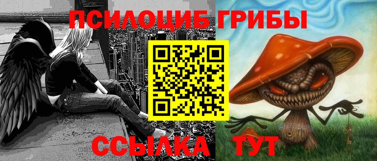 Псилоцибиновые грибы Cubensis  Вход с VPN  Клинцы 